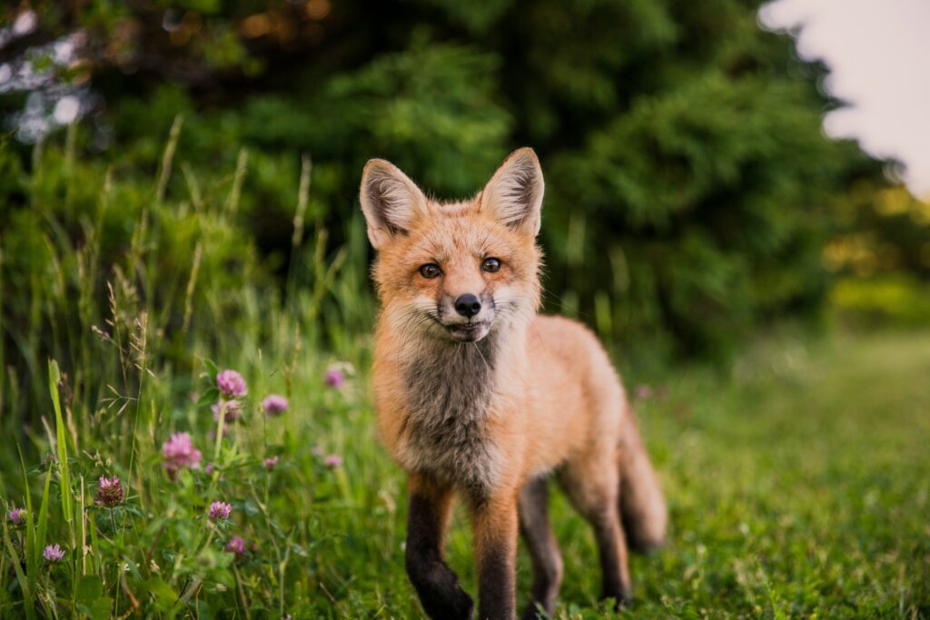 scott walsh cql3y5bv6fa unsplash